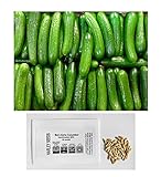 Photo US Grown! 30+ Persian Beit Alpha (a.k.a. Lebanese) Cucumber Seeds Heirloom Non-GMO Burpless Sweet Non-Bitter and Acid Free, Crispy and Sweet, Fragrant and Delicious, Cucumis sativus, Grown in USA!, best price $2.69, bestseller 2024