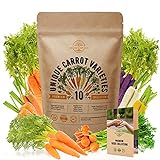 Photo 10 Carrot Seeds Variety Pack for Planting Indoor & Outdoors 3600+ Non-GMO Heirloom Carrots Garden Growing Seeds: Imperator, Parisian, Scarlet Nantes, Purple, Red, White, Cosmic Rainbow Carrots & More, best price $12.99 ($1.30 / Count), bestseller 2024