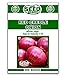 Red Creole Onion Seeds - 300 Seeds new 2022