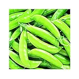 Photo Park Seed Super Sugar Snap Pea Seeds, Delicious and High Yield, Pack of 160 Seeds, best price $8.95 ($0.06 / Count), bestseller 2024