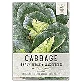 Photo Seed Needs, Early Jersey Wakefield Cabbage (Brassica oleracea) Single Package of 300 Seeds Non-GMO, best price $5.85, bestseller 2024