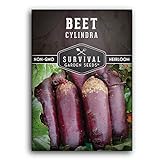 Photo Survival Garden Seeds - Cylindra Beet Seed for Planting - Packet with Instructions to Plant and Grow Dark Red Beets in Your Home Vegetable Garden - Non-GMO Heirloom Variety, best price $4.99, bestseller 2024
