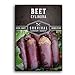 Survival Garden Seeds - Cylindra Beet Seed for Planting - Packet with Instructions to Plant and Grow Dark Red Beets in Your Home Vegetable Garden - Non-GMO Heirloom Variety new 2023