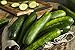 Sweeter Yet Hybrid Cucumber Seeds - Non-GMO - 10 Seeds new 2024