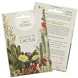 Photo Mélange de graines de cactus: Kit graine de cactus à fleurs pour plantes de cactus en pot magnifique - Plante naturelle et décorative d'intérieur - Plant mini-cactus à faire pousser par OwnGrown, meilleur prix 3,95 € (3,95 € / unité), best-seller 2024