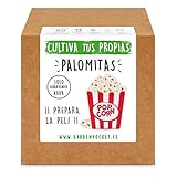 Foto Garden Pocket - Kit Cultivo Palomitas de Maíz, mejor precio 13,93 €, éxito de ventas 2024