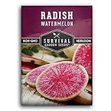 Photo Survival Garden Seeds - Watermelon Radish Seed for Planting - Packet with Instructions to Plant and Grow Unique Asian Vegetables in Your Home Vegetable Garden - Non-GMO Heirloom Variety, best price $4.99, bestseller 2024