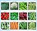 Premium Winter Vegetable Seeds Collection Organic Non-GMO Heirloom Seeds 12 Varieties: Radish, Pea, Broccoli, Beet, Carrot, Cauliflower, Green Bean, Kale, Arugula, Cabbage, Asparagus, Brussel Sprout new 2024