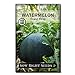 Sow Right Seeds - Sugar Baby Watermelon Seed for Planting - Non-GMO Heirloom Packet with Instructions to Plant a Home Vegetable Garden - Great Gardening Gift (1) new 2024