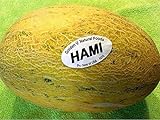 Photo 35 PCS Hami Ha Mi Melon Seeds E60, Honey Melon Super Sweet, best price $14.50, bestseller 2024