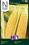 Foto Zuckermais Samen Sweet Nugget F1 - Nelson Garden Saatgut für Gemüse - Mais Samen (15 Stück) (Mais, Einzelpackung), bester Preis 4,95 €, Bestseller 2024