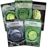 Photo Sow Right Seeds - Cabbage Seed Collection for Planting - Savoy, Red Acre, Golden Acre, Copenhagen Market, and Michihili (Napa) Cabbages, Instructions to Plant and Grow a Non-GMO Heirloom Home Garden, best price $10.99, bestseller 2024
