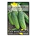 Sow Right Seeds - National Pickling Cucumber Seeds for Planting - Non-GMO Heirloom Seeds with Instructions to Plant and Grow a Home Vegetable Garden, Great Gardening Gift (1) new 2023