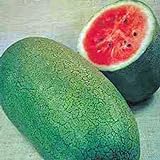 Photo Watermelon, Charleston Grey, Heirloom,100 Seeds, Large, best price $2.99 ($0.03 / Count), bestseller 2024