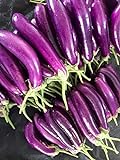 Photo Eggplant Seeds for Planting | 250 Long Purple Eggplant Seeds to Plant Home Outdoor Garden | Heirloom & Non-GMO Vegetable Seeds | Buy in Bulk (1 Pack), best price $6.95, bestseller 2024