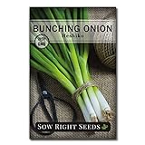 Photo Sow Right Seeds - Heshiko Bunching Japanese Green Onion Seeds for Planting - Non-GMO Heirloom Seeds with Instructions to Plant and Grow a Kitchen Garden, Indoor or Outdoor; Great Gardening Gift, best price $5.99, bestseller 2024