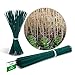 Novatool 100 varillas de madera de bambú, 70 cm x 6 mm, color verde, para plantas nuevo 2024