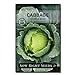 Sow Right Seeds - Golden Acre Cabbage Seed for Planting - Non-GMO Heirloom Packet with Instructions to Plant an Outdoor Home Vegetable Garden - Great Gardening Gift (1) new 2024