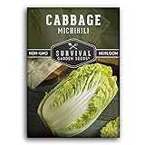 Photo Survival Garden Seeds - Michihili Napa / Nappa Cabbage Seed for Planting - Pack with Instructions to Plant and Grow Brassica Vegetables in Your Home Vegetable Garden - Non-GMO Heirloom Variety, best price $4.99, bestseller 2024