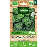 Photo Vilmorin - Sachet graines Chou Frisé (KALE) Westlandse Winter BIO - Brassica oleracea var. sabellica, meilleur prix 5,85 € (2 925,00 € / kg), best-seller 2024