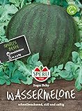 Foto 81550 Sperli Premium Wassermelone Samen Sugar Baby | Schnellwachsend | Melonen Samen | Wassermelonen Samen | Samen Wassermelone | Wassermelonen Pflanze | Mini Wassermelone, bester Preis 4,53 €, Bestseller 2024