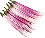 Photo Chinese, Eggplant Seed - The Bride - 300 Heirloom Seeds - Non GMO - Neonicotinoid-Free, best price $9.99, bestseller 2024