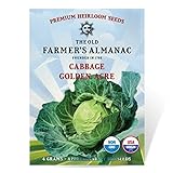 Photo The Old Farmer's Almanac Heirloom Cabbage Seeds (Golden Acre) - Approx 950 Seeds, best price $4.29 ($0.00 / Count), bestseller 2024