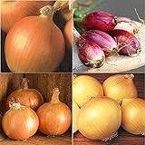Photo David's Garden Seeds Collection Set Onion Long-Day 9332 (Multi) 4 Varieties 800 Non-GMO, Open Pollinated Seeds, best price $16.95 ($4.24 / Count), bestseller 2024