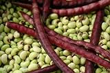 Photo Purple Hull Pea Seeds for Planting - 250 Seeds, best price $13.97 ($0.06 / Count), bestseller 2024