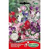 Foto Germisem Pastel Dream Mix Semillas de Guisantes Dulces 1.5 g, mejor precio 2,70 €, éxito de ventas 2024