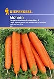 Foto Sperli Gemüsesamen Möhren Lange rote stumpfe ohne Herz 2, grün, bester Preis 2,01 €, Bestseller 2024