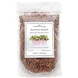 Photo Rainbow Radish Sprouting Seeds Mix | Heirloom Non-GMO Seeds for Sprouting & Microgreens | Contains Red Arrow, Purple Triton & White Daikon Radish Seeds 1 lb Resealable Bag | Rainbow Heirloom Seed Co., best price $17.99, bestseller 2024