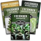 Photo Survival Garden Seeds Cucumber Collection - Mix of Armenian, Beit Alpha, Lemon, National Pickling, & Spacemaster Seed Packets to Grow Vining Vegetables on The Homestead - Non GMO Heirloom Seed Vault, best price $10.99, bestseller 2024