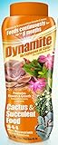 Photo  Dynamite 82170 Sun Bulb Cactus & Succulent Food, White, best price $15.86, bestseller 2024