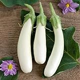 Photo David's Garden Seeds Eggplant Casper 3411 (White) 50 Non-GMO, Open Pollinated Seeds, best price $4.45, bestseller 2024