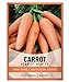 Carrot Seeds for Planting - Scarlet Nantes - Daucus Carota - is A Great Heirloom, Non-GMO Vegetable Variety- 2 Grams Seeds Great for Outdoor Spring, Winter and Fall Gardening by Gardeners Basics new 2024