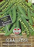 Foto Sperli Schalerbse Kleine Rheinländerin, bester Preis 2,46 €, Bestseller 2024