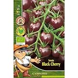 Foto Semillas ecológicas de Tomate Black Cherry, mejor precio 4,42 €, éxito de ventas 2024