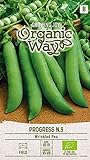 Foto Organic Way | MARKERBSE PROGRESS N.9 samen | Gemüsesamen | Erbsensamen | Frühe Sorte | 1 Pack, bester Preis 2,88 € (2,88 € / stück), Bestseller 2024