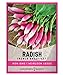 Radish Seeds for Planting - French Breakfast Variety Heirloom, Non-GMO Vegetable Seed - 2 Grams of Seeds Great for Outdoor Spring, Winter and Fall Gardening by Gardeners Basics new 2024
