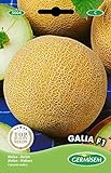 Foto Germisem Melone GALIA F1, mehrfarbig, EC5004, bester Preis 3,68 €, Bestseller 2024
