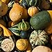 Kürbiskerne, 30Pcs / Beutel Gemüsesamen Produktive Essbare Zier Mix Streifen Kürbis Sämlinge für Garten für Ideal Outdoor-Garten Geschenk neu 2023