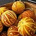 20 Rare Tigger Melon Seeds | Exotic Garden Fruit Seeds to Plant | Sweet Exotic Melons, Grow and Eat new 2022