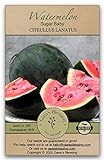 Photo Gaea's Blessing Seeds - Sugar Baby Watermelon Seeds (3.0g) Non-GMO Seeds with Easy to Follow Planting Instructions - Heirloom 94% Germination Rate, best price $4.99, bestseller 2024