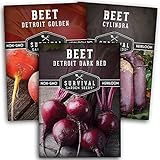 Photo Survival Garden Seeds Beet Collection Seed Vault - Detroit Red, Detroit Golden, Cylindra Beets - Delicious Root & Green Leafy Veggies - Non-GMO Heirloom Survival Garden Vegetable Seeds for Planting, best price $8.99, bestseller 2024