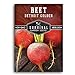 Survival Garden Seeds - Detroit Golden Beet Seed for Planting - Packet with Instructions to Plant and Grow Sweet Yellow Root Vegetables in Your Home Vegetable Garden - Non-GMO Heirloom Variety new 2024