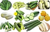 Photo 100+ Cucumber Mix Seeds 12 Varieties Non-GMO Delicious and Crispy, Grown in USA. Rare and Super Prolific, best price $6.25 ($35.43 / Ounce), bestseller 2024