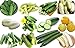 100+ Cucumber Mix Seeds 12 Varieties Non-GMO Delicious and Crispy, Grown in USA. Rare and Super Prolific new 2024