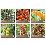 Foto Samenliebe BIO Cherrytomaten Samen Set mit 6 samenfesten Gemüsesamen Sorten für Gewächshaus Freiland und Balkon Tomaten BIO Gemüse Saatgut, bester Preis 15,99 € (2,66 € / stück), Bestseller 2024