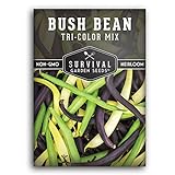 Photo Survival Garden Seeds - Tri-Color Bean Seed for Planting - Packet with Instructions to Plant and Grow Yellow, Purple, and Green Bush Beans in Your Home Vegetable Garden - Non-GMO Heirloom Variety, best price $4.99, bestseller 2024